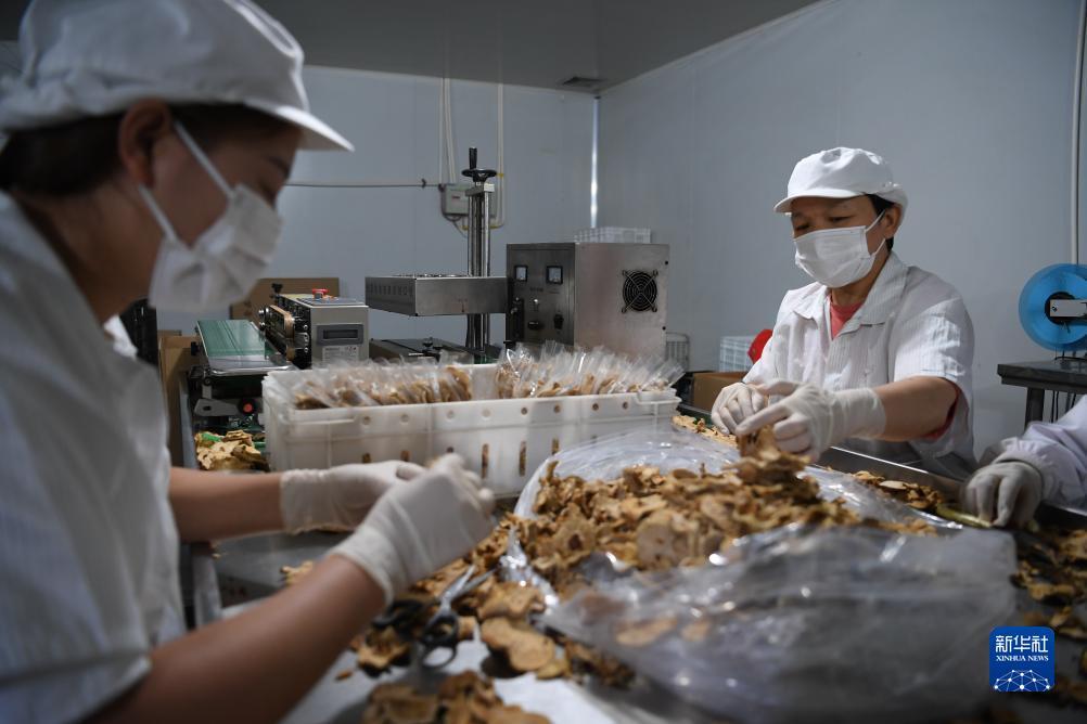 奔驰宝马电玩城